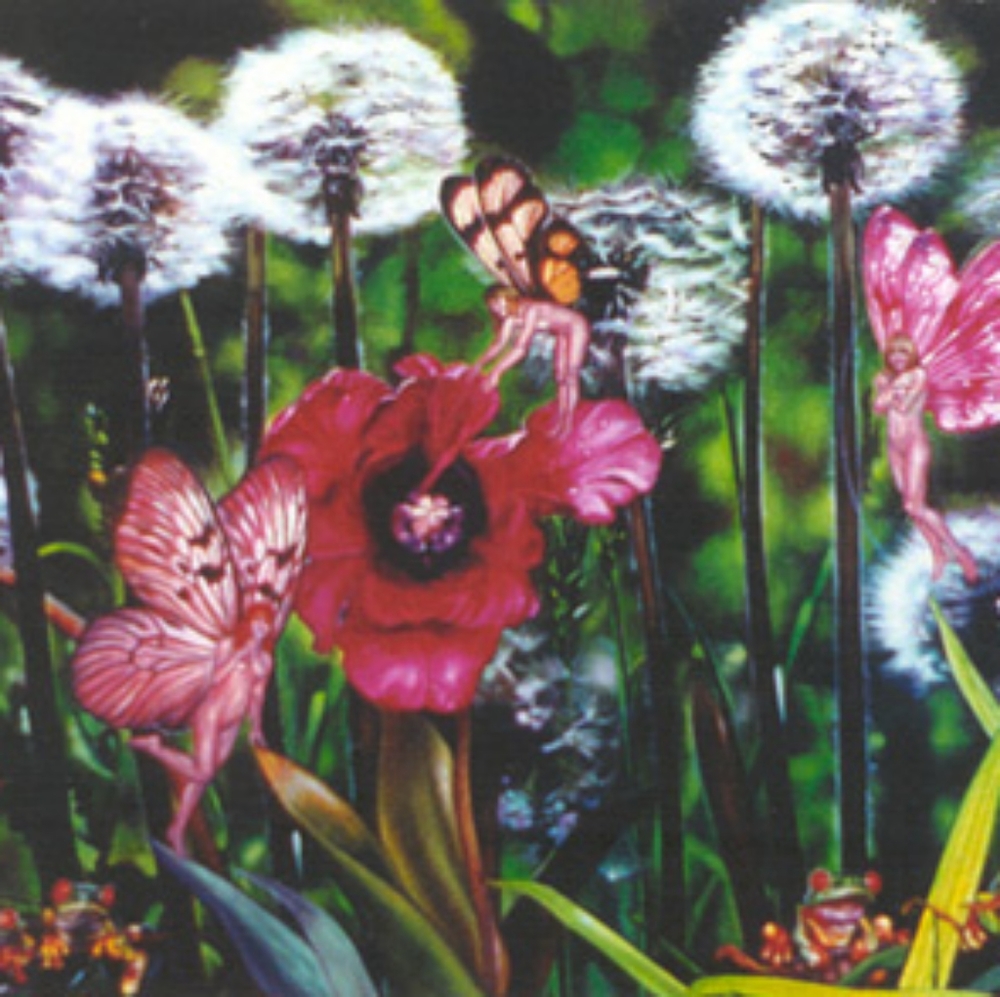 Dandelion 25 Limited Edition Lithographs